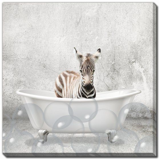 Bathing Zebra Print **Pick Up Only**