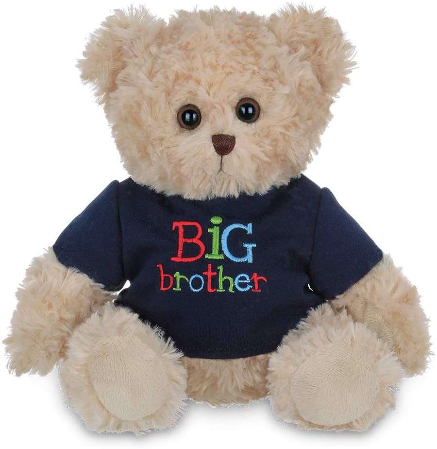 Beige teddy bear with navy blue sweater that says Big Brother