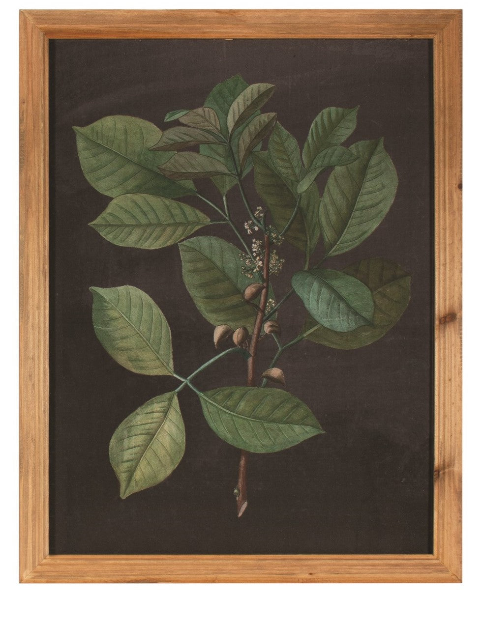 Black Botanical Wall Art II **Store Pickup Only**