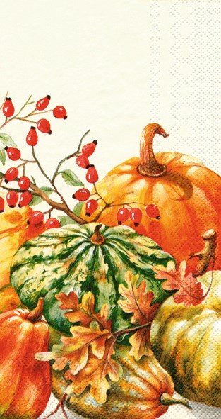 Calabaza Napkins
