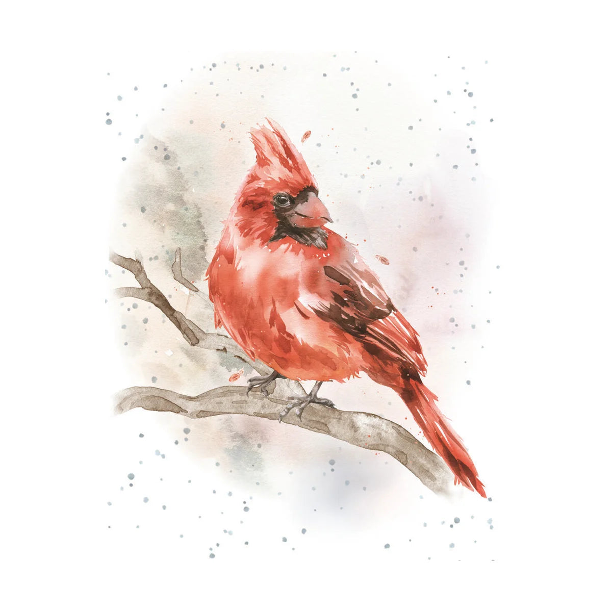 Small Card-Feathered Friend