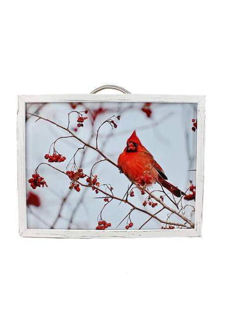 Cardinal LED Framed Wall Art