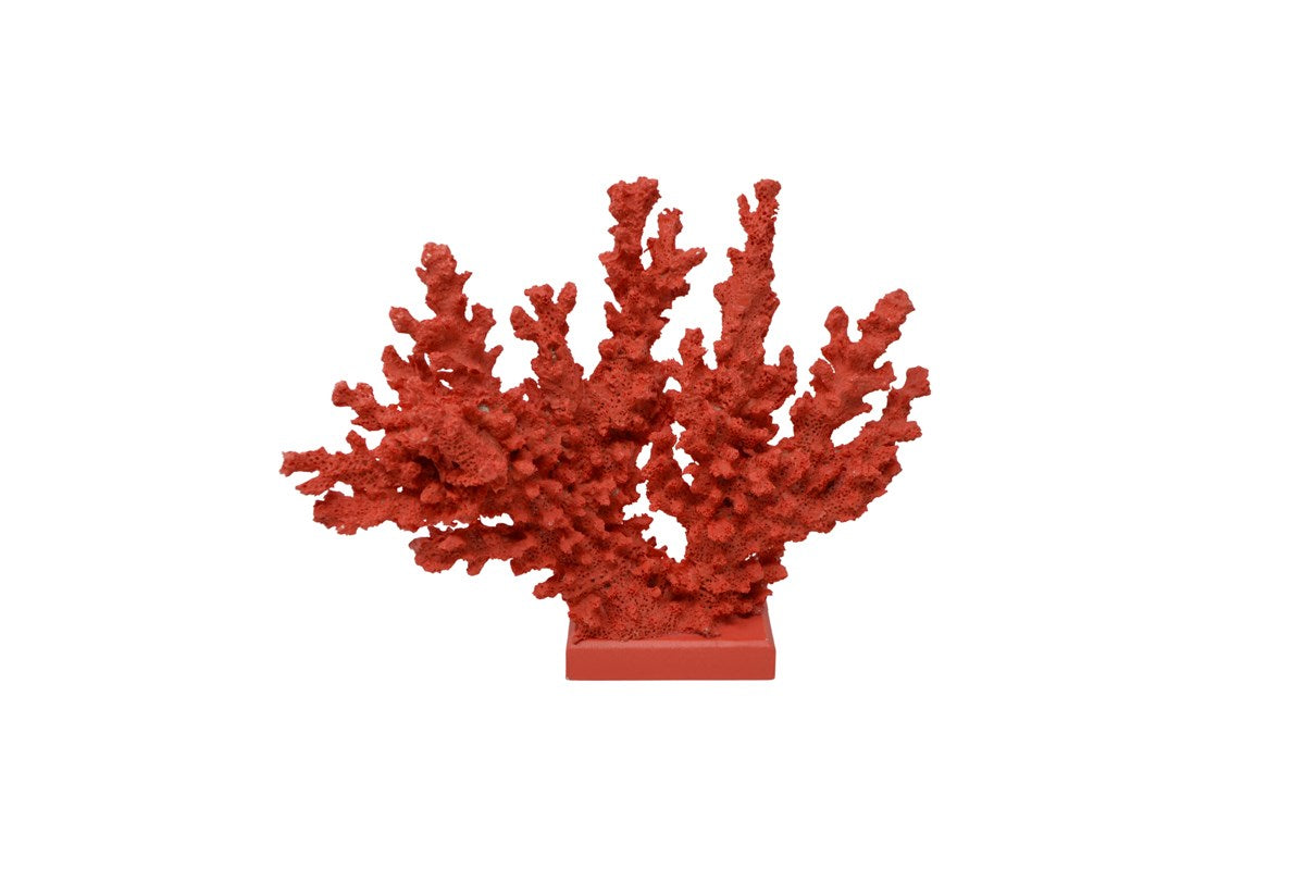 Coral Coloured Coral - Joshua & Company