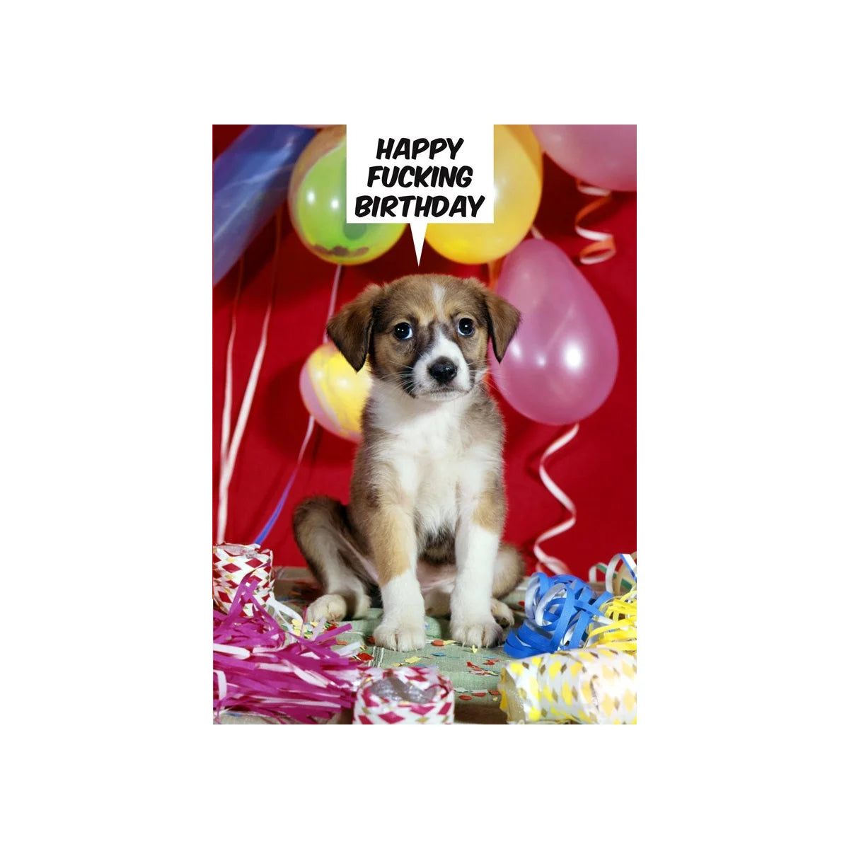 Happy F**king Birthday Card