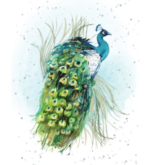 Small Card-Proud as A Peacock
