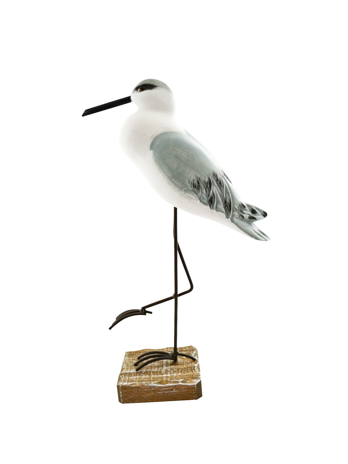 Shore Bird on One Leg - Joshua & Company