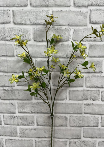 Green Plum Flower Stem