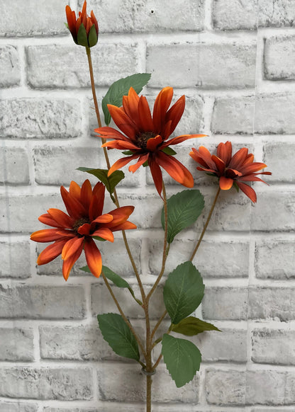 Black Eyed Susan Stem