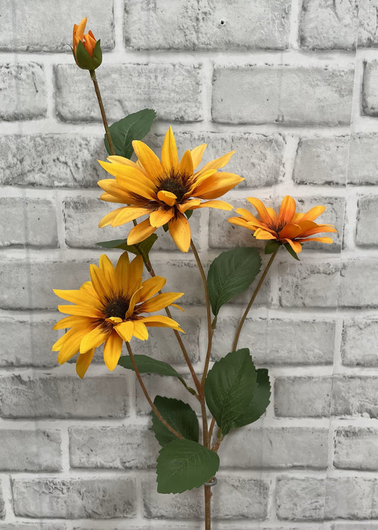 Yellow Orange Black Eyed Susan Stem