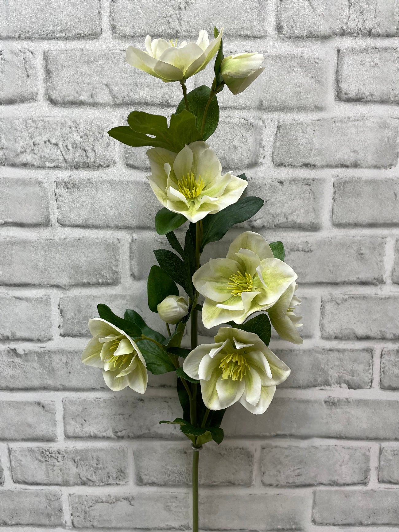 Fresh Touch Green White Helleboes Spray 32"