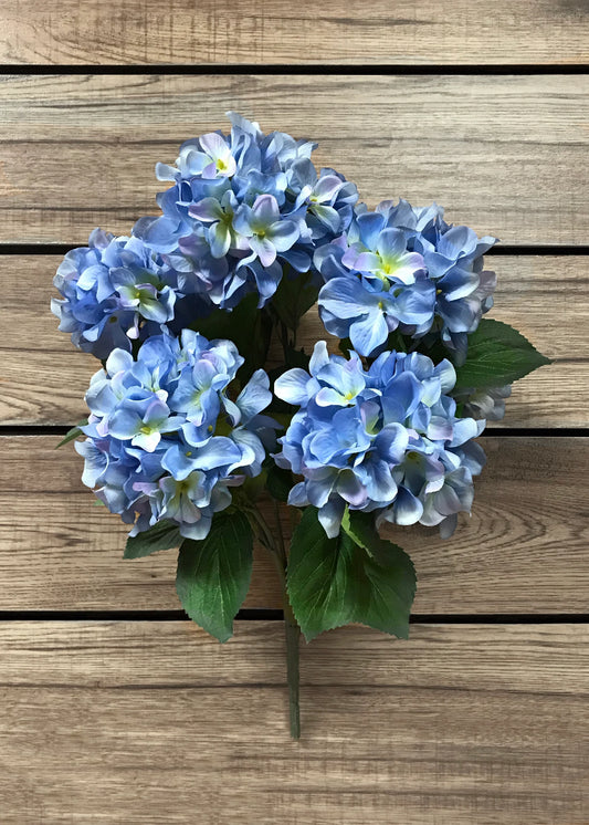 Blue Hydrangea Bush