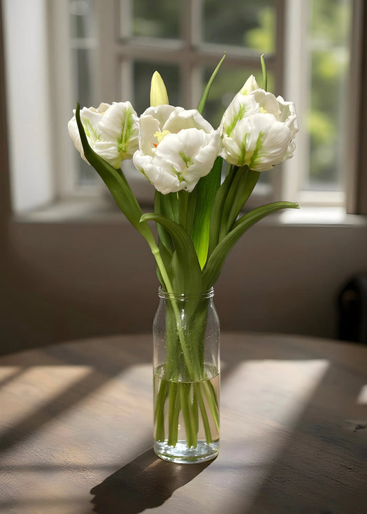 Fresh Touch White and Green Parrot Tulip Bundle