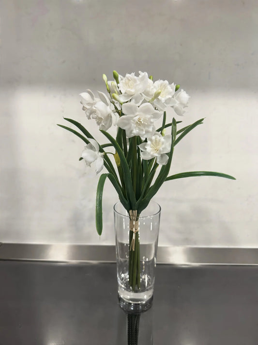 Fresh Touch Paperwhite - White 12 inch - Joshua & Company