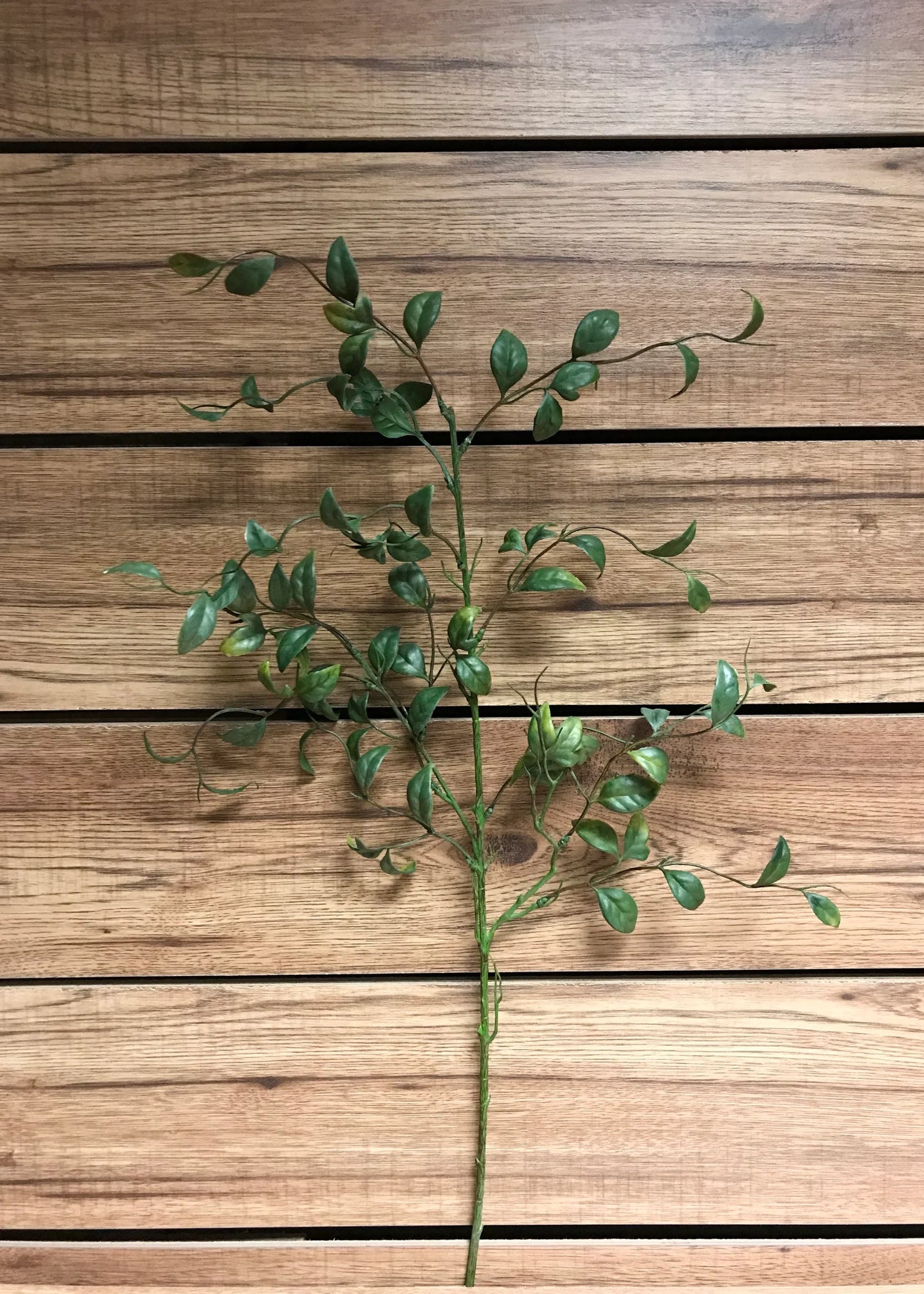 Similax Spray 31"