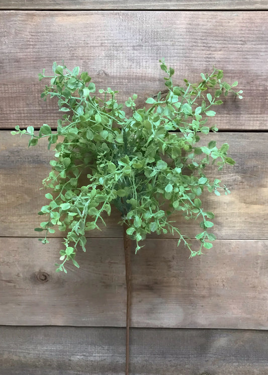 Fresh Touch Light Green Baby Tears Spray 12"