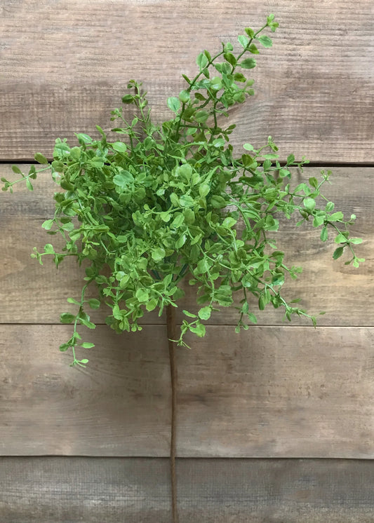 Fresh Touch Green Baby Tears Spray 12"