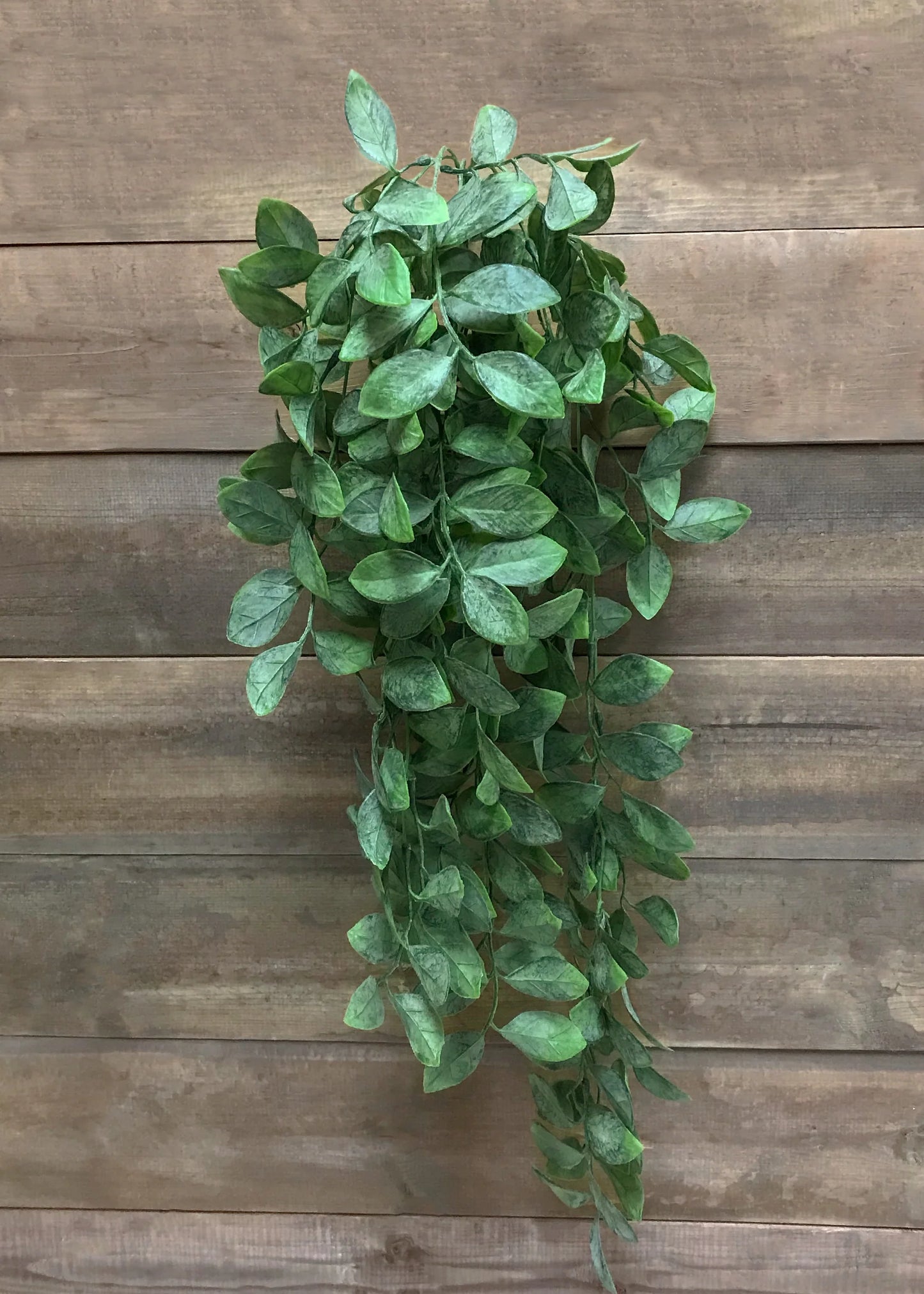 Sage Green Eucalyptus 34"