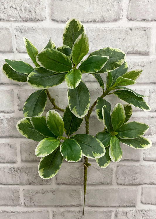 Karaka Spray