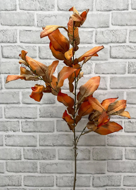 Fall Dried Look Leaves Stem