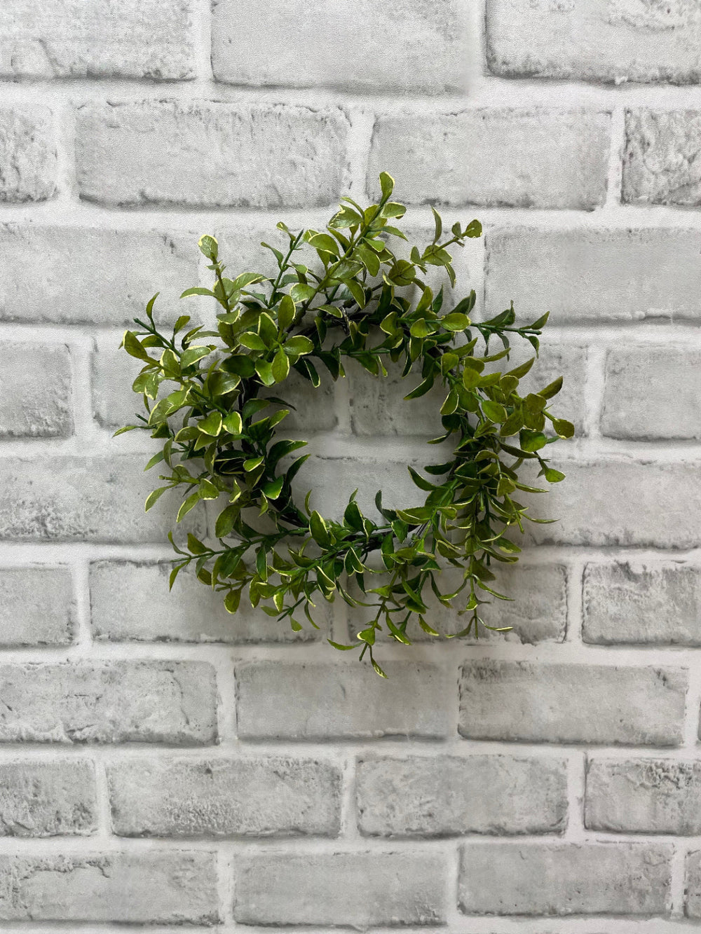 Golden Euonymus Candle Ring 9"