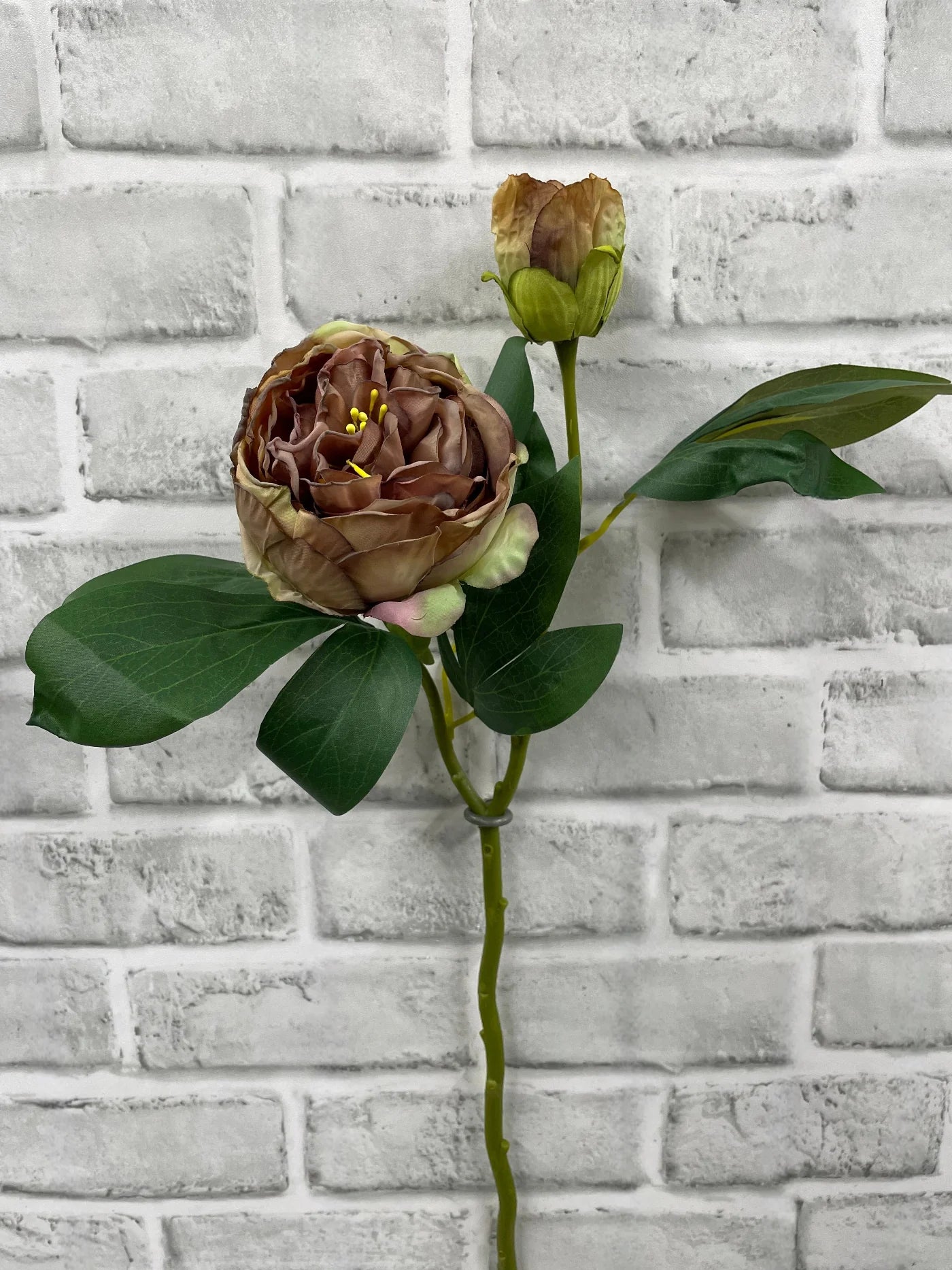 Rose Peony Stem