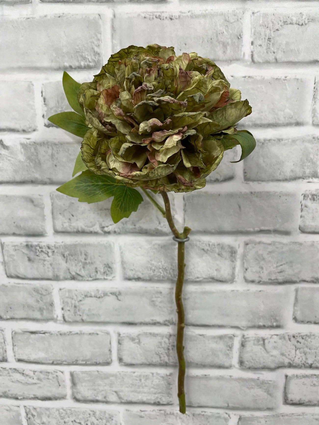 Green Peony Stem