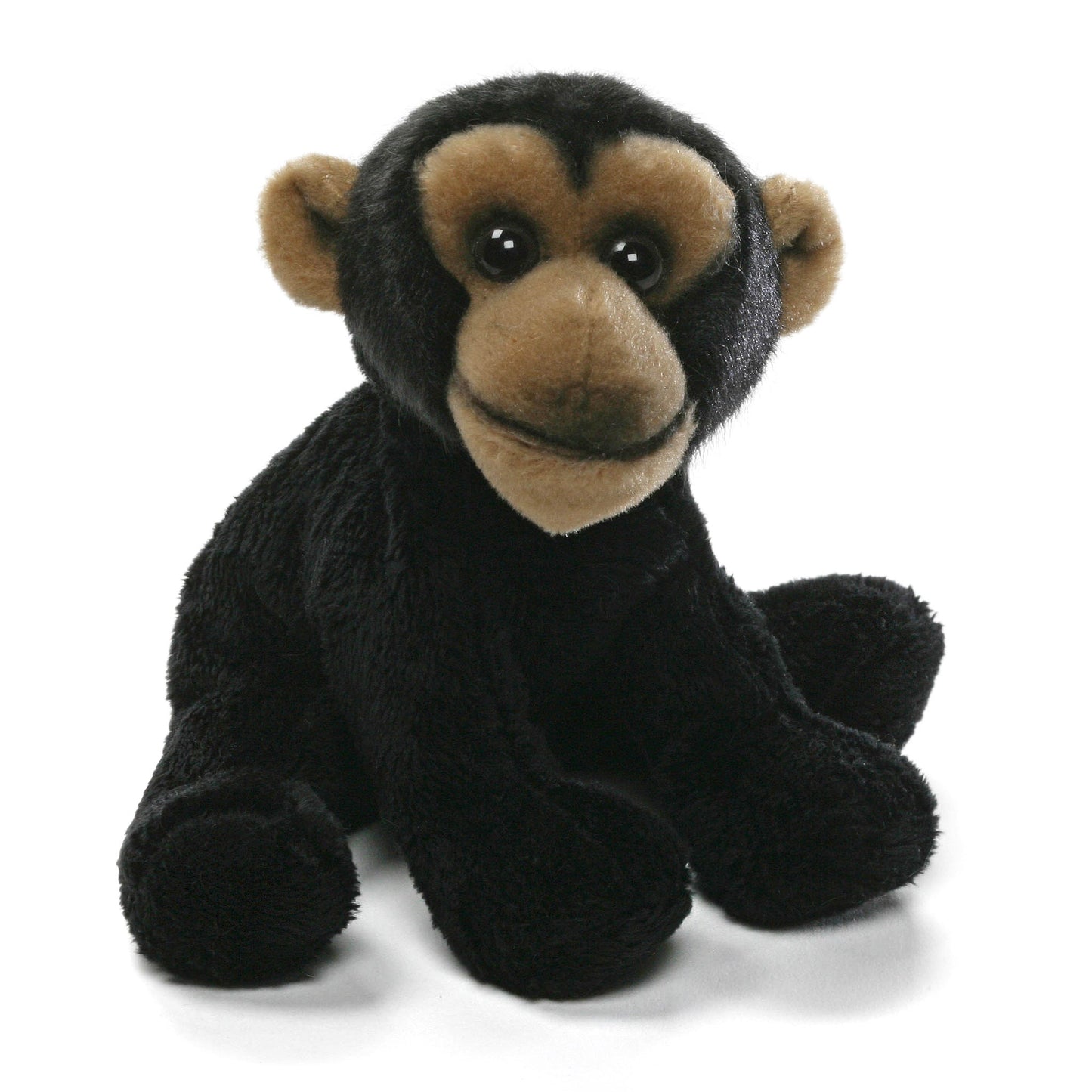 Giffa - Cameron Chimp