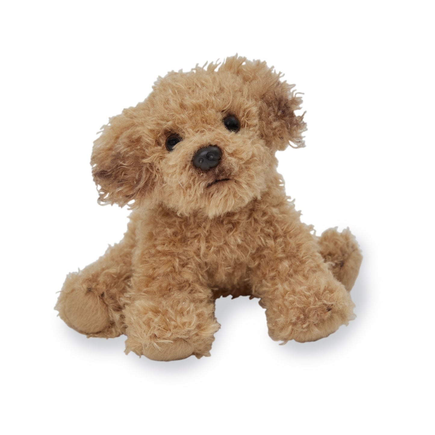 Giffa - Leo Golden Doodle