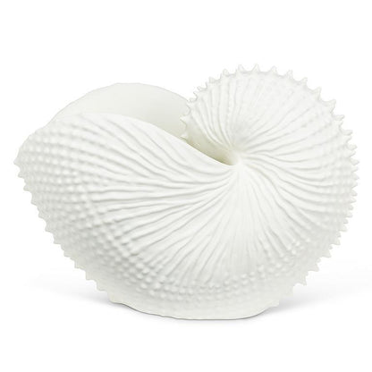 Jumbo Nautical Shell *Pick up in-store only