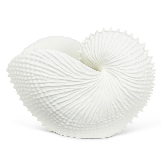 Jumbo Nautical Shell *Pick up in-store only