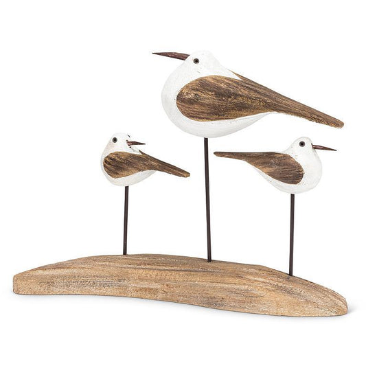 Triple Sea Birds