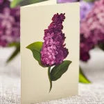 Popup Card - Garden Lilacs