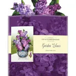 Popup Card - Garden Lilacs