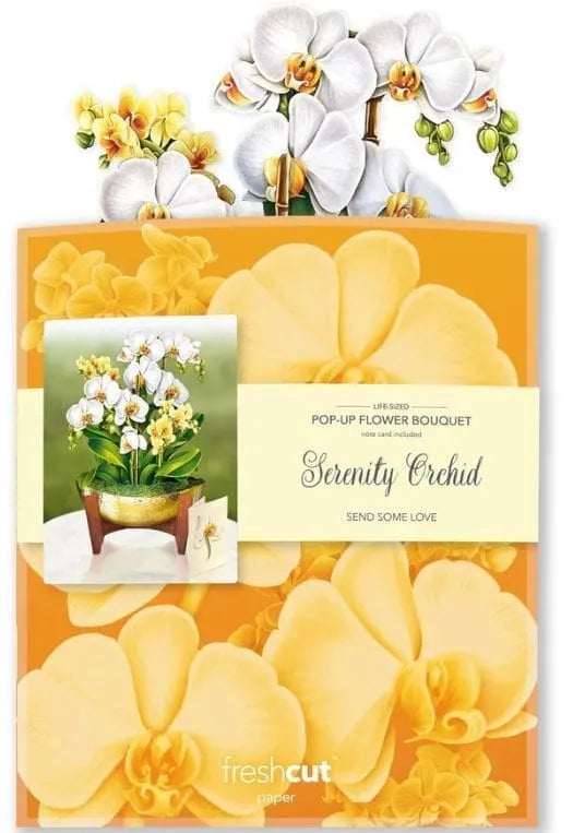 Popup Card - Serenity Orchid