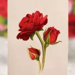 Popup Card - Blooming Roses