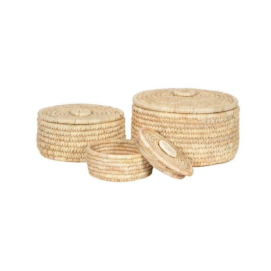 Palm Lidded Basket - Assorted Sizes