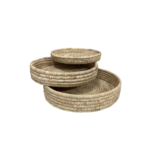 Palm Tray - Assorted Sizes