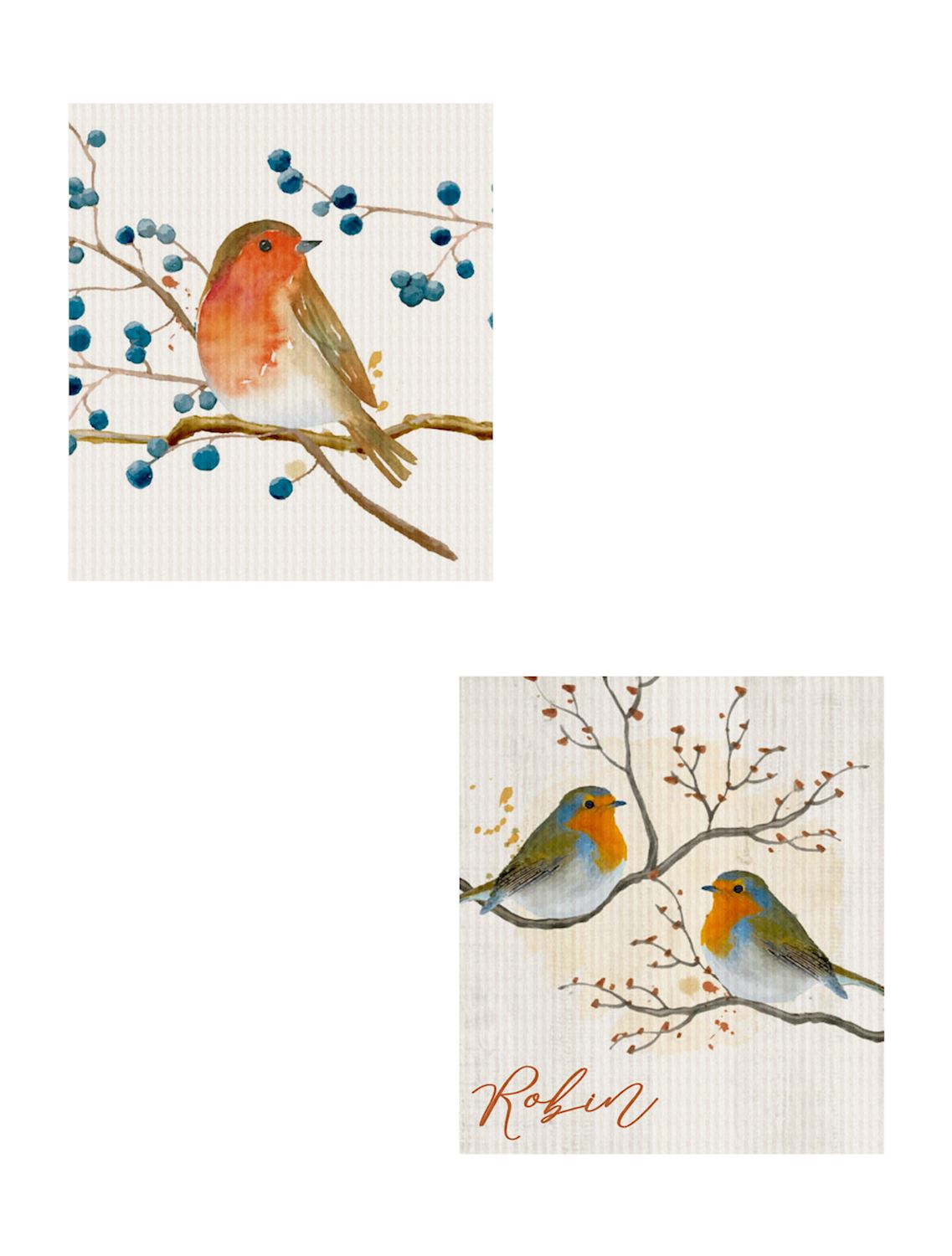 Swedish Dishcloth - Robin (S/2)