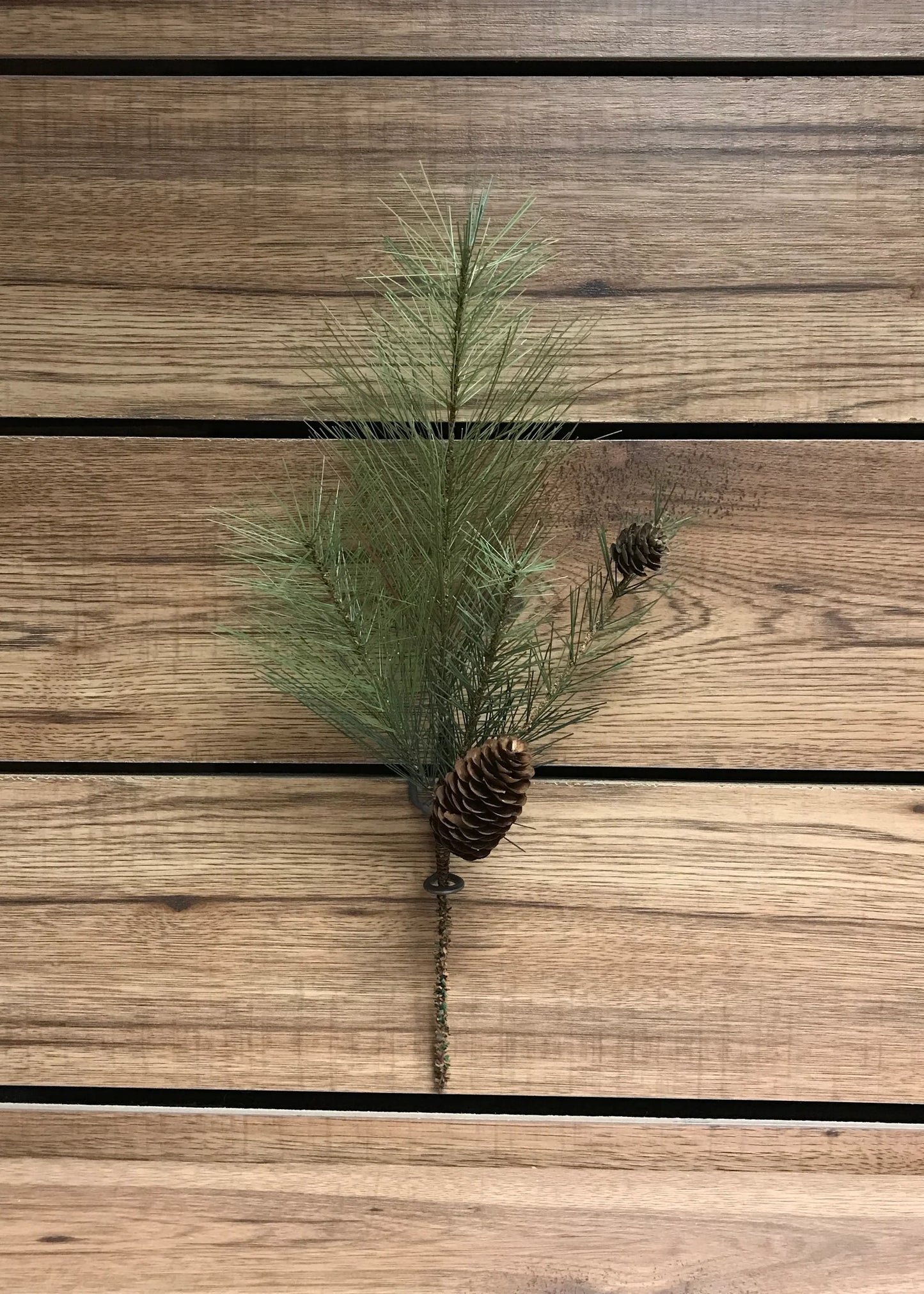Long Needle Pine Spray