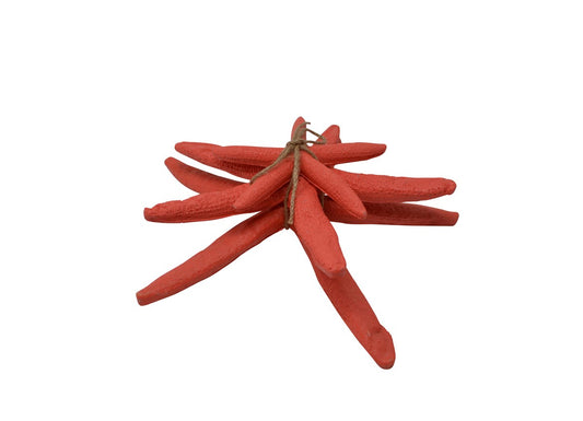 Coral Decorative Starfish (Set of 3)