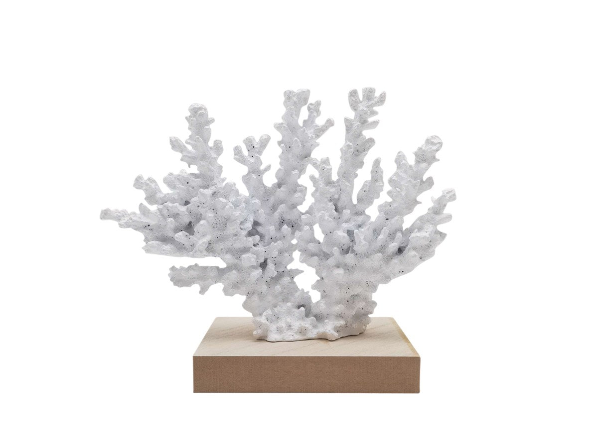 Faux White Coral on Wooden Base