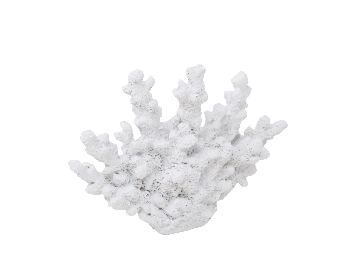 White Coloured Coral