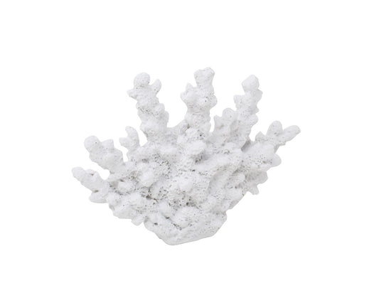 White Coloured Coral