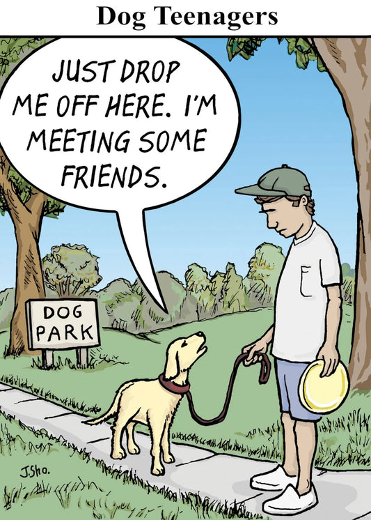 Birthday Card - Dog Park