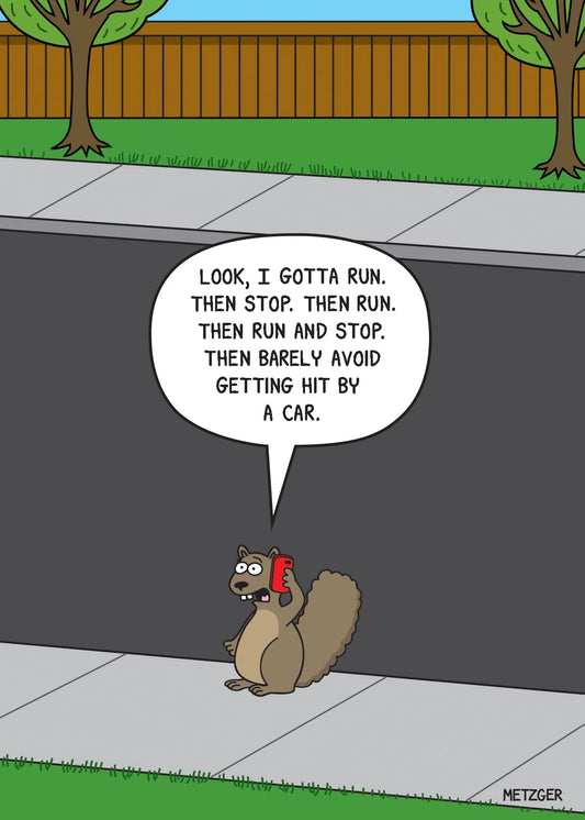 Birthday Card - Squirrel