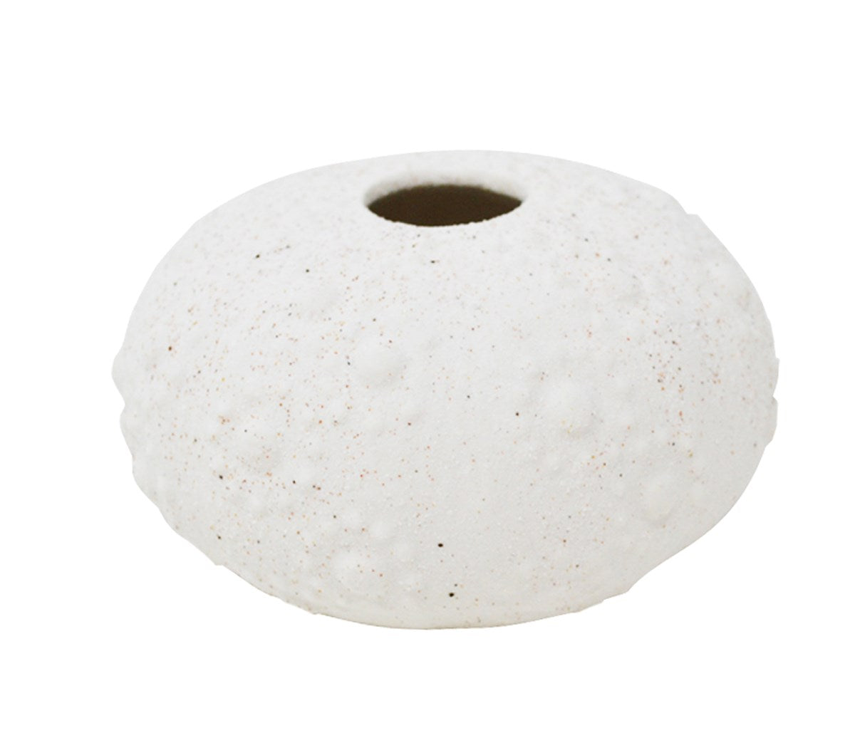 Sea Urchin Vase