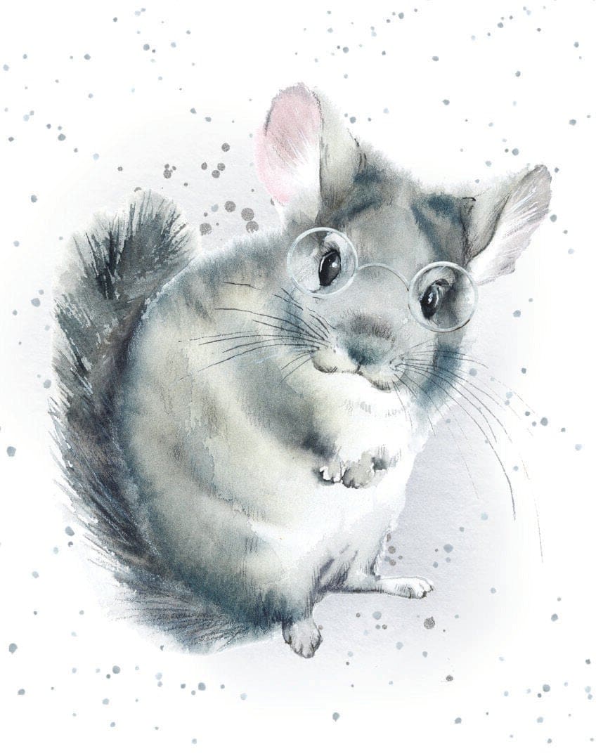 Enclosure Card - Spec-Tacular Day