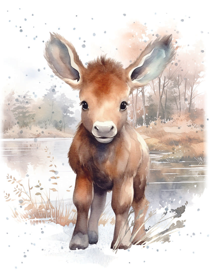 Enclosure Card - All Ears