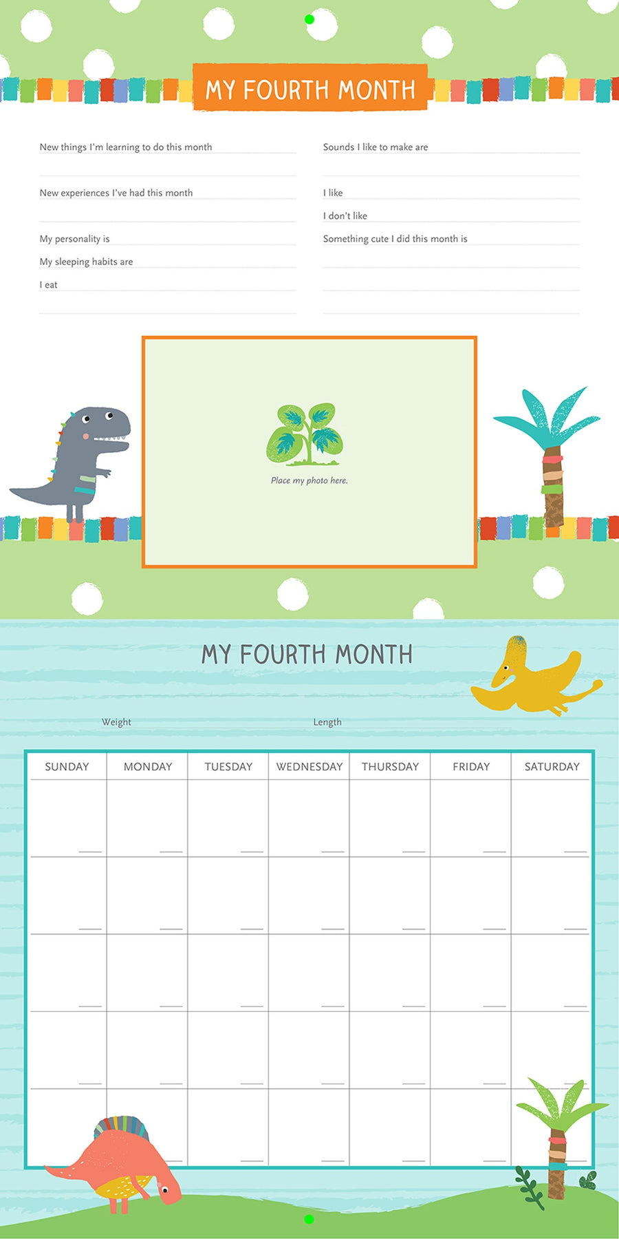 My Life as a Baby: A First-Year Calendar - Dinosaurs