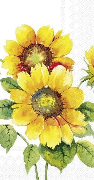 Colourful Sunflowers Napkins - Assorted Sizes